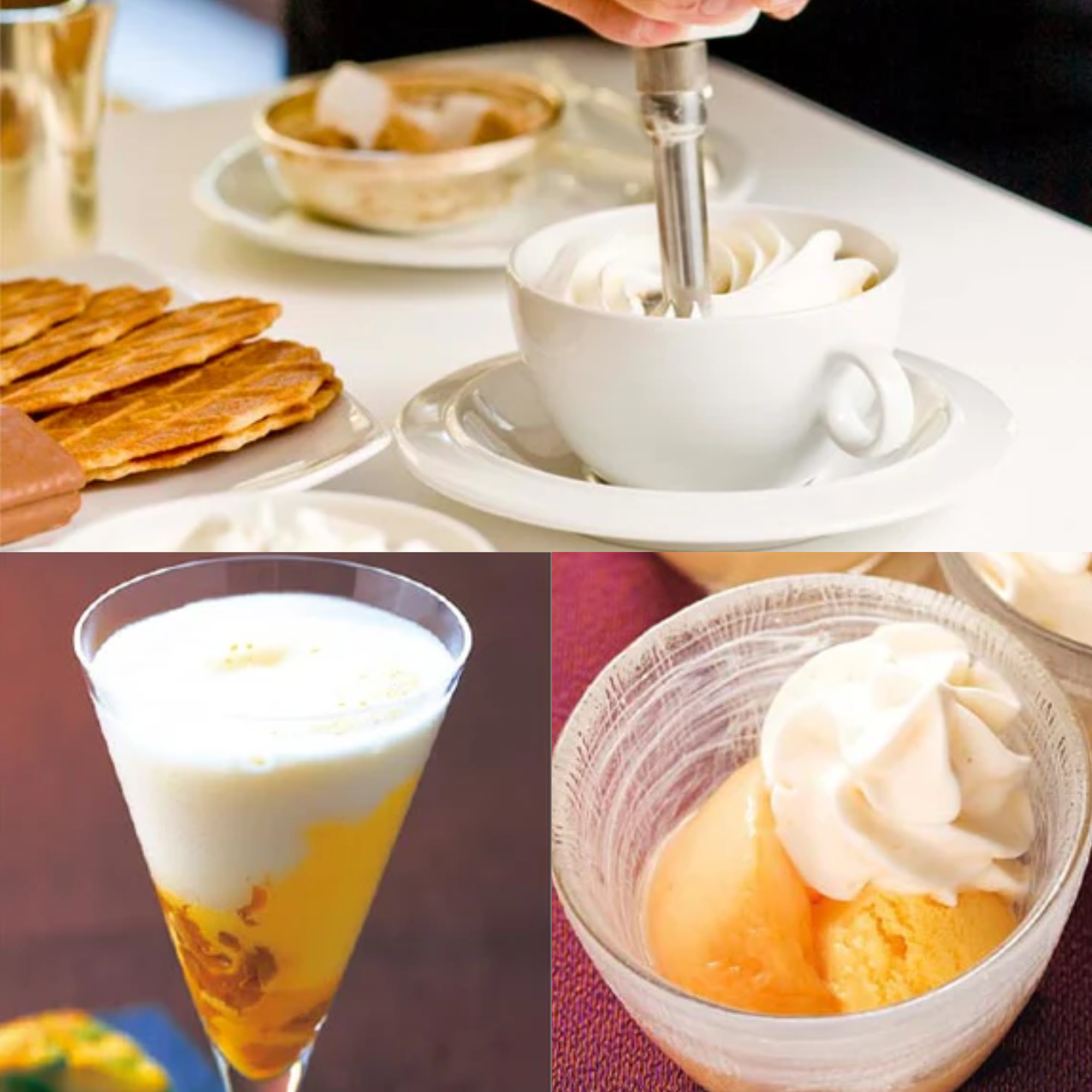 エスプーマ アドバンス充填機 TAH-CG