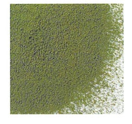 西尾の手摘み一番茶 1kg